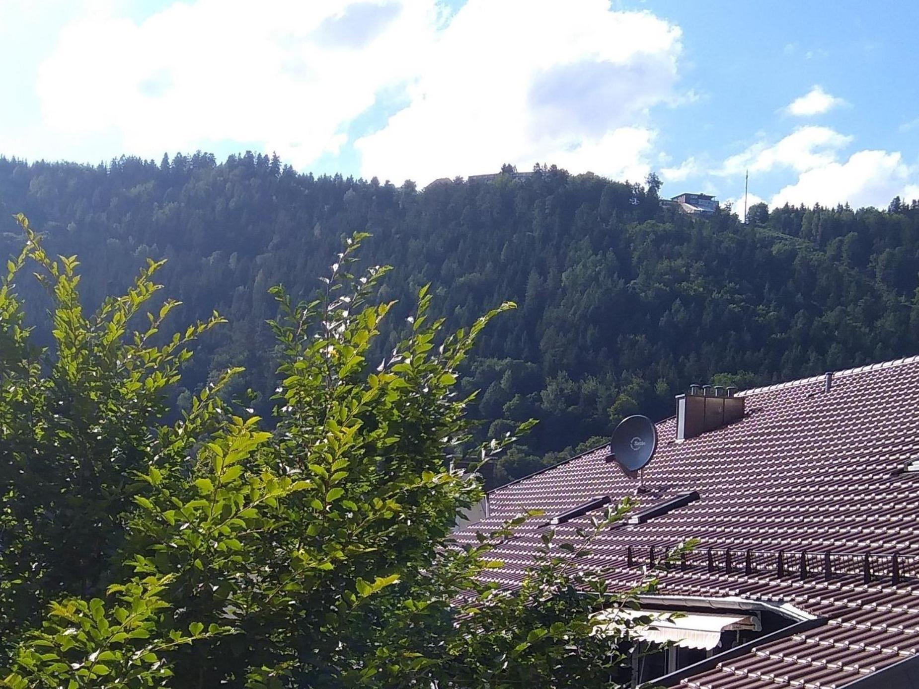 Ferienwohnung Tannenwald Bad Wildbad Eksteriør billede
